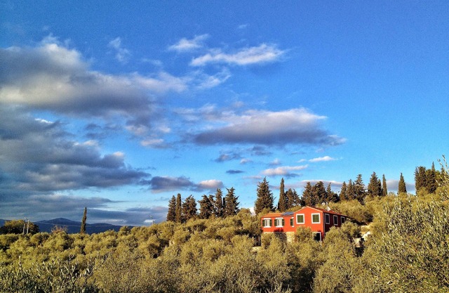 Relax in the olive trees - 5km from the center and from the beaches - Appartamento Oliva