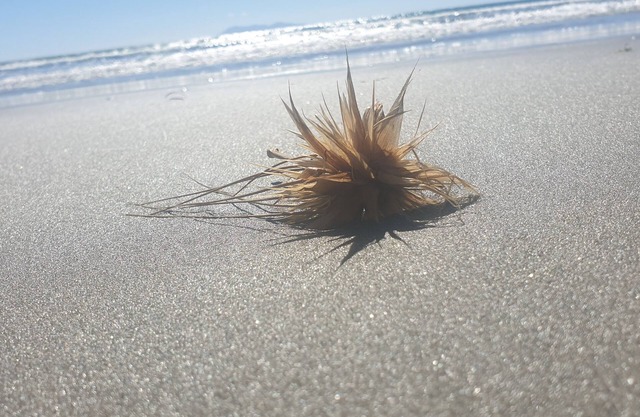 Relax Waihi Beach Style.
