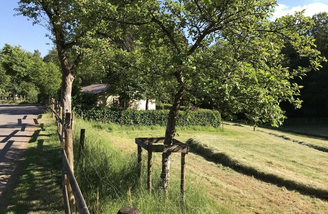 Relaxation and nature in the middle of the volcanic Eifel