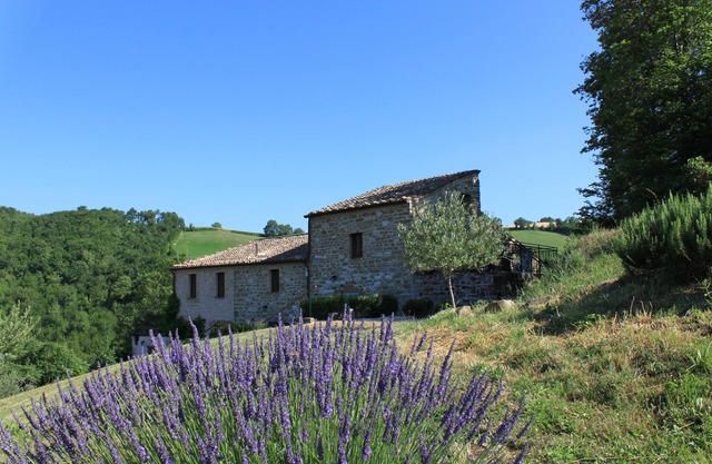 Relaxation, enjoying nature, walking in Le Marche Italy at Cottage ‘Il Fuoco’