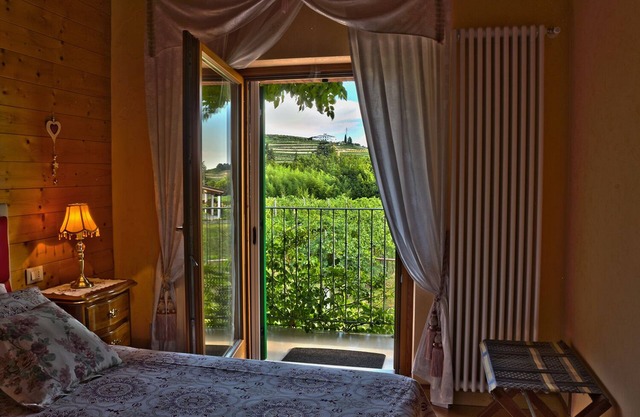 Relaxation in Valpolicella ~ residence La Palma Negrar