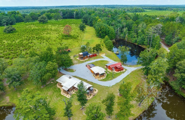 Relaxing Buena Vista Getaway w/Lush Lake Views