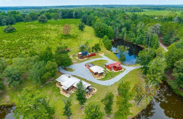 Relaxing Buena Vista Getaway with Lush Lake Views