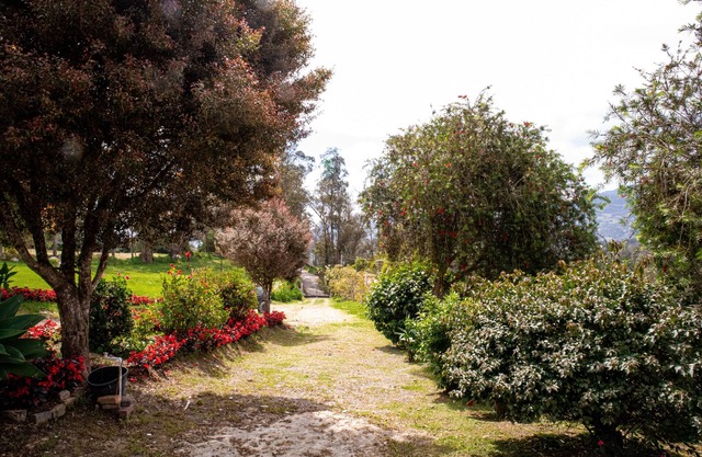 Remodelled Cosy House in the Country Side Stunning Mountain View - Close to City