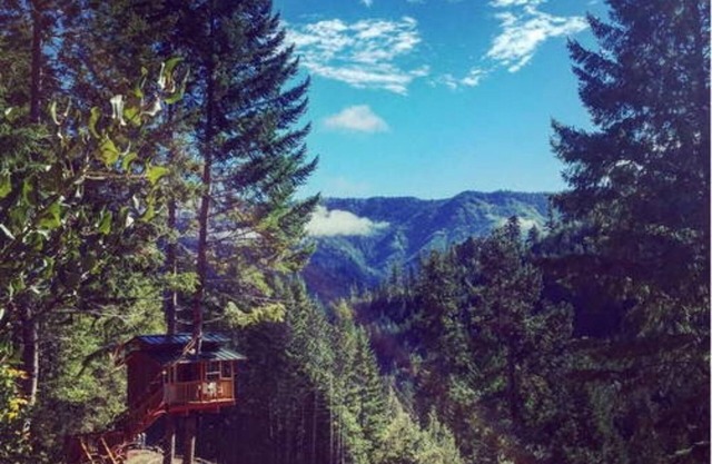 Remote Off-Grid-Rustic Tree House @ Sustainable Eco-Village