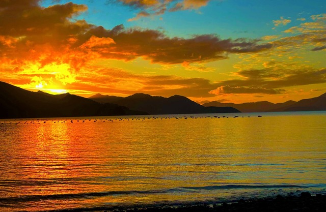 Remote Pelorus Sound Kiwi Bach on the Beach with Great Views