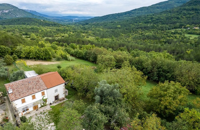 Renovated Istrian house in the woods