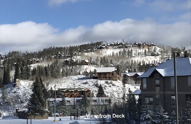 Renovated, steps to restaurants, mountain views, on free bus route