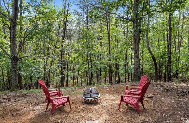 Rental in Rumbling Bald Lake Lure, NC