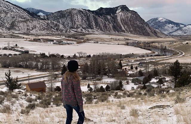 Reserve 2, 3 or all 4 cabins on this 13 acre horse ranch.5 mins from YNP!