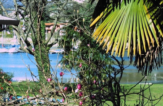 RESIDENCE IL CILIEGIO