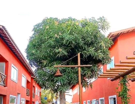 Residencial Ecoville das Mangueiras 3km da praia de Guarajuba, 27km do centro de Camacari CEP 42839-874