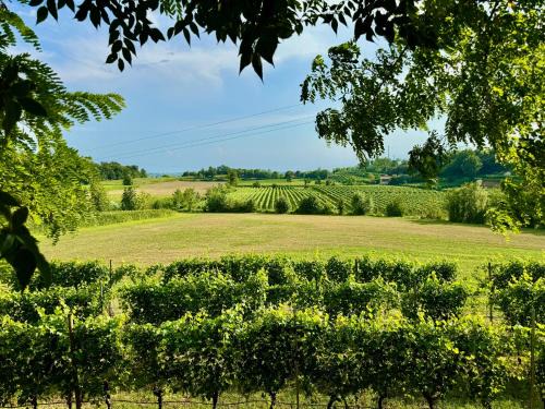Residenza Le Vigne