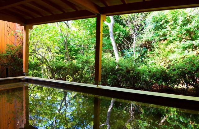 Resort apartment with natural hot spring and sauna - ViVi Atami Shizengo 3001/Atami Shizuoka