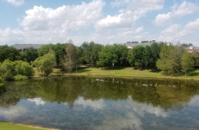 Resort style near Disney and theme parks