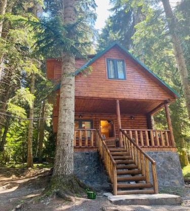 Rest House