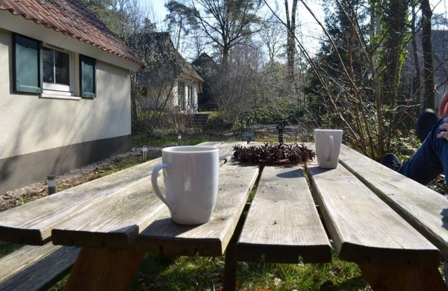 Rest park, holiday home in a forest on the edge of a park