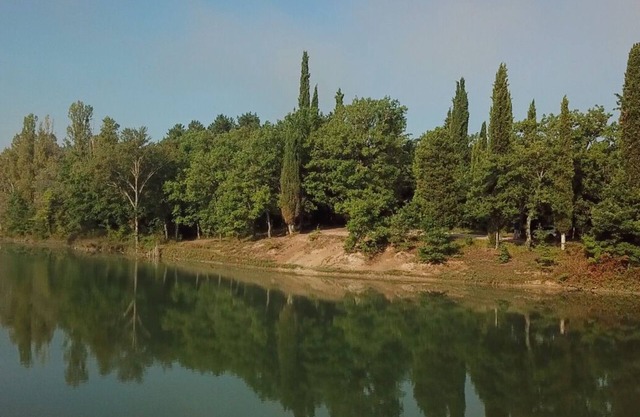 Retino - Ivy - Mini apartment immersed in the greenery of the Tenuta di Fassia