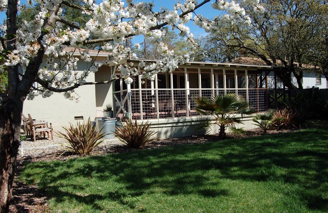 Retro Retreat: Cozy, Moderne, Affordable House in Wine Country.