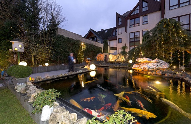 Rheinhotel LARUS