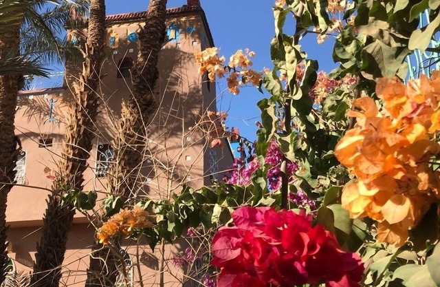 Riad Zagora Palms