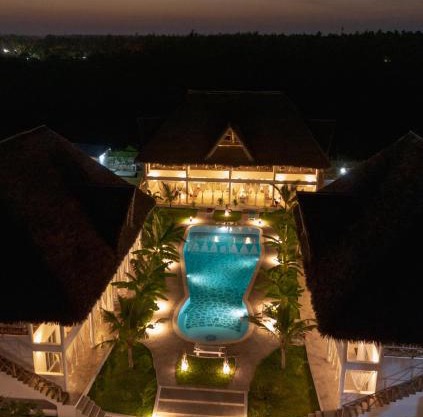 RiccArDella House Rafiki Tamu