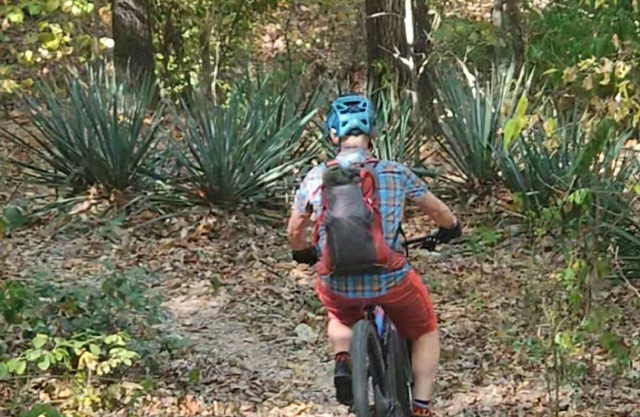 RIDE.RELAX.RECHARGE. Cozy 2 Bedroom Getaway in Bella Vista on Back 40 Trails!