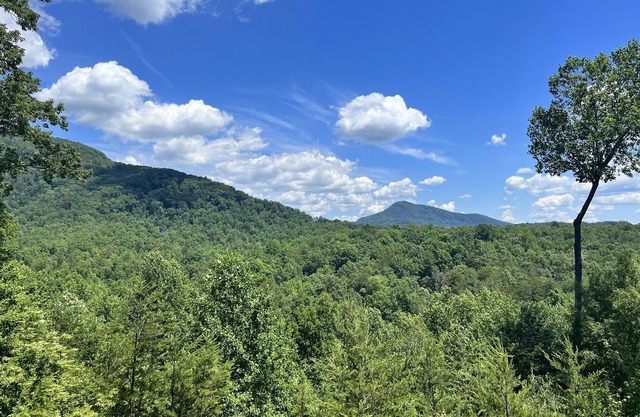 Ridgetop Landing - Lake Lure Access, Great Views!