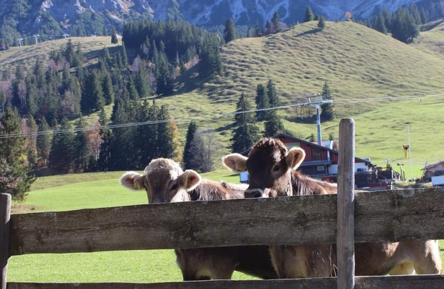 Right on the mountain in summer! Ski in, ski out in winter! 1min walk to the chairlift!