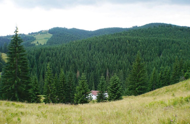 Rija Land, a rural retreat in Bucovina Mountains