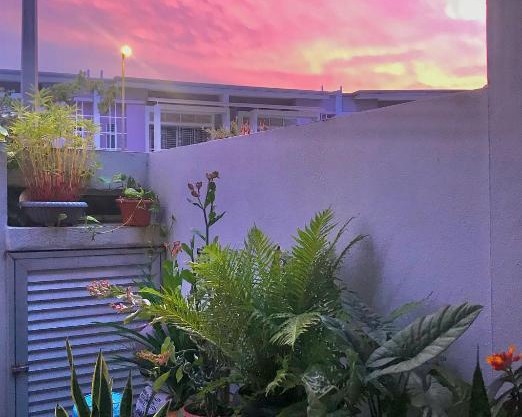 Rimbayu Homestay