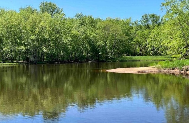 River House on 4 acres! Bring the dog!