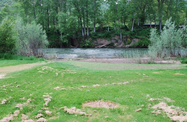 River House on the Beautiful Rogue River