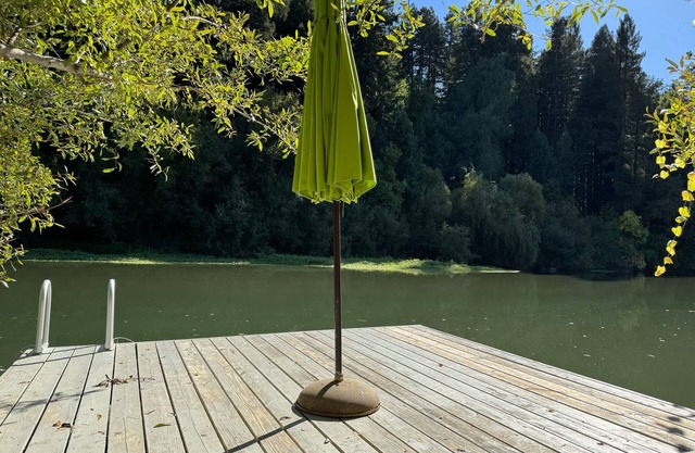 River Lady - Beautifully Updated Cabin on the Russian River