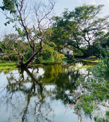River Park Resort Arugambay