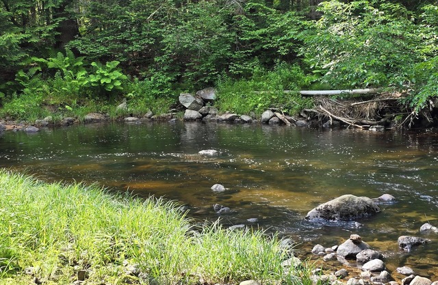 River Retreat –Tranquil Getaway, Fish, Hike & Explore from Your Back Door