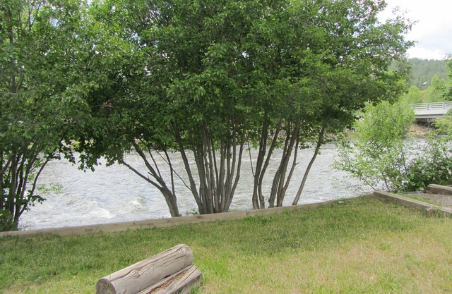 Riverfront Home With Hot Tub - Vacation On The San Juan. Near Wolf Creek!