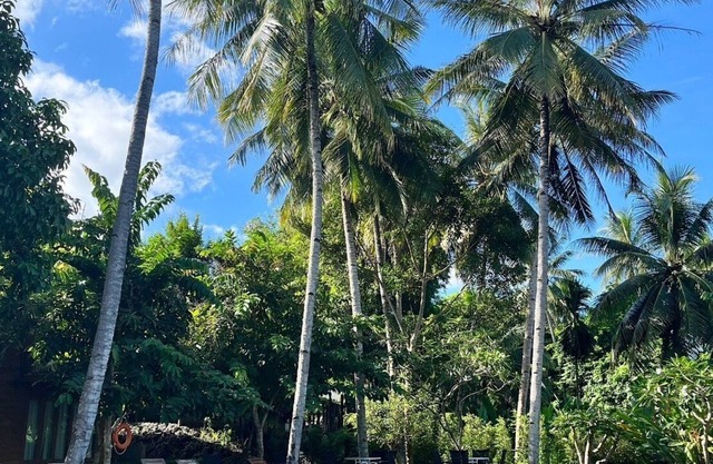 Riverhouse Resort