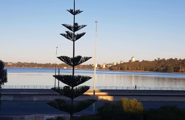 Riverside 2 bedroom with South Perth Peninsula Views