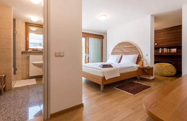 Rožna Dolina Apartment