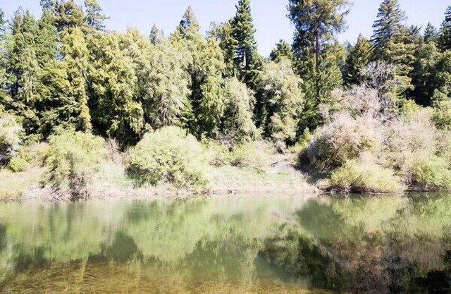 Robin's Hood on the River w/Spectacular Views, near vineyards & coastal beaches