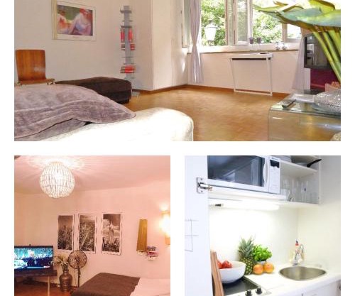 Roche Bobois