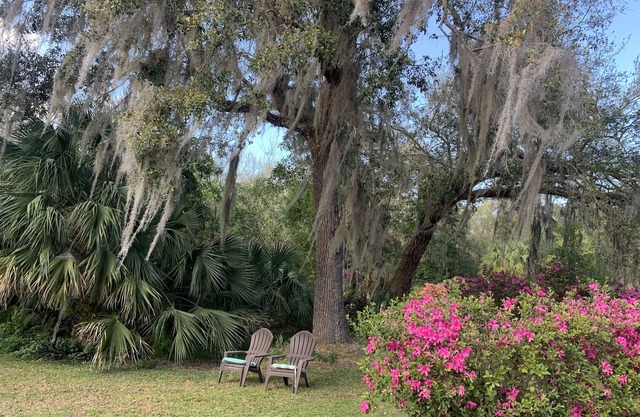 Rocket & Nature Lovers! Vintage European Cottage in a lush Florida Setting