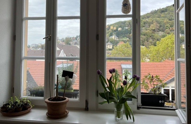Romantic city apartment in the heart of Heidelberg