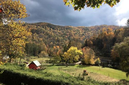Romantic Farm-Stay Cabin with Petting Zoo & Hot Tub near Boone, NC
