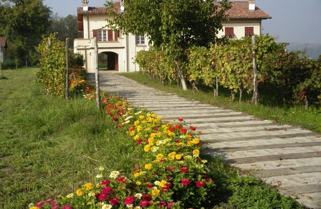 Romantic farmhouse in Monferrato wine district