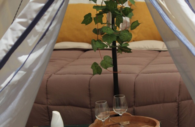 Romantic Glamping in Valle de Guadalupe