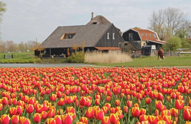 Romantic holiday home with plenty of cycling and walking possibilities