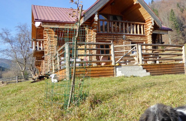 romantic log cabin in the Carpathian Mountains