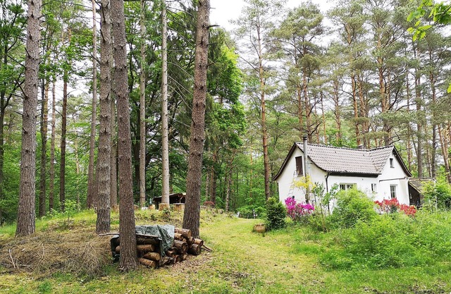 romantic little house in the magical forest